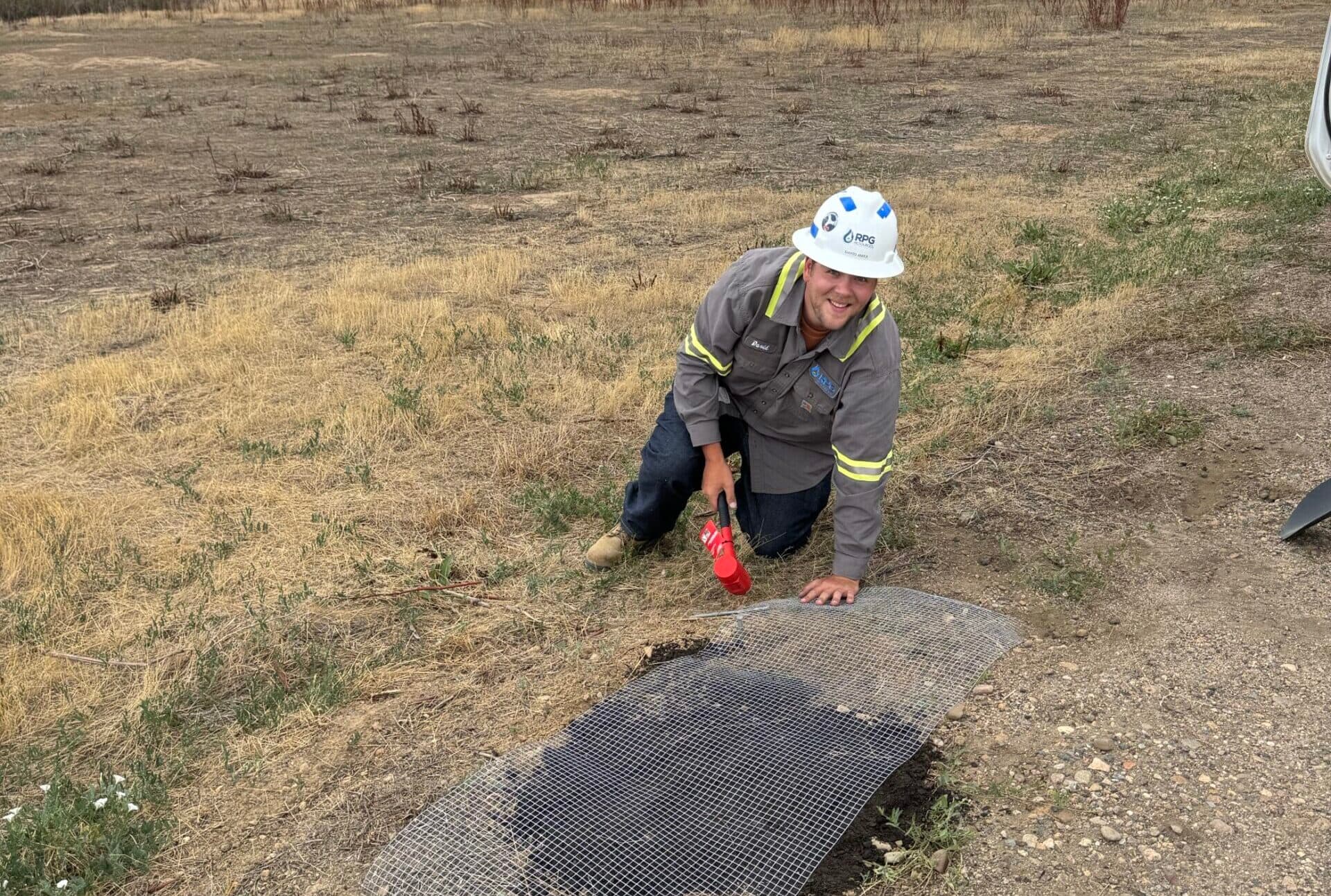 prairie dog project work in field